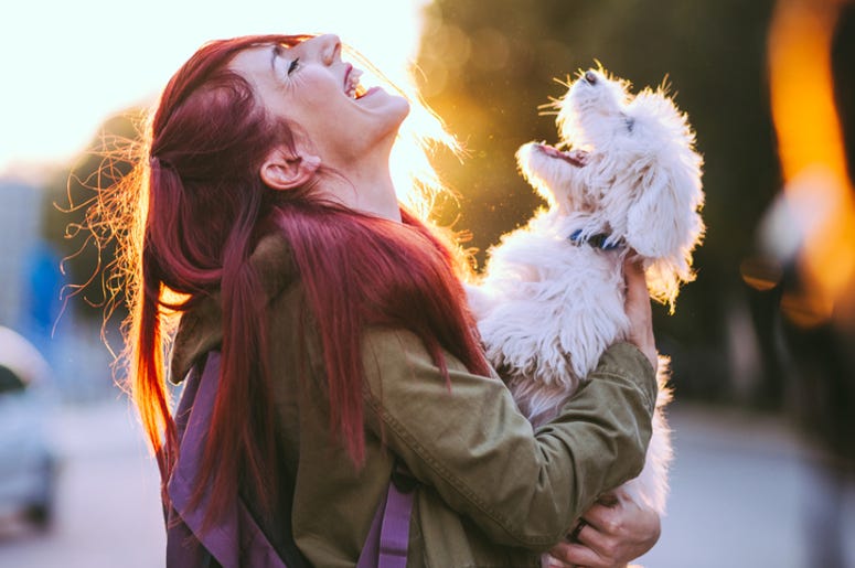 dog owner dog owner