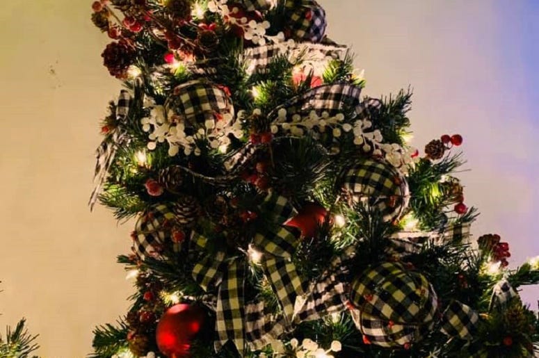 festival of trees festival of trees