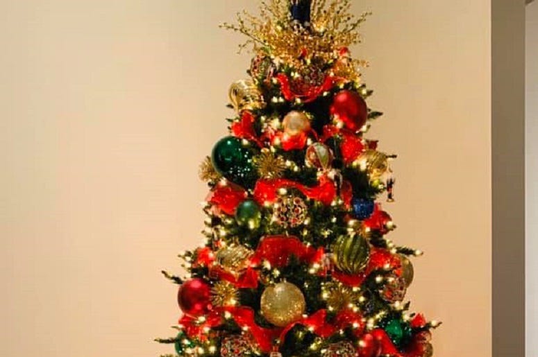 festival of trees festival of trees