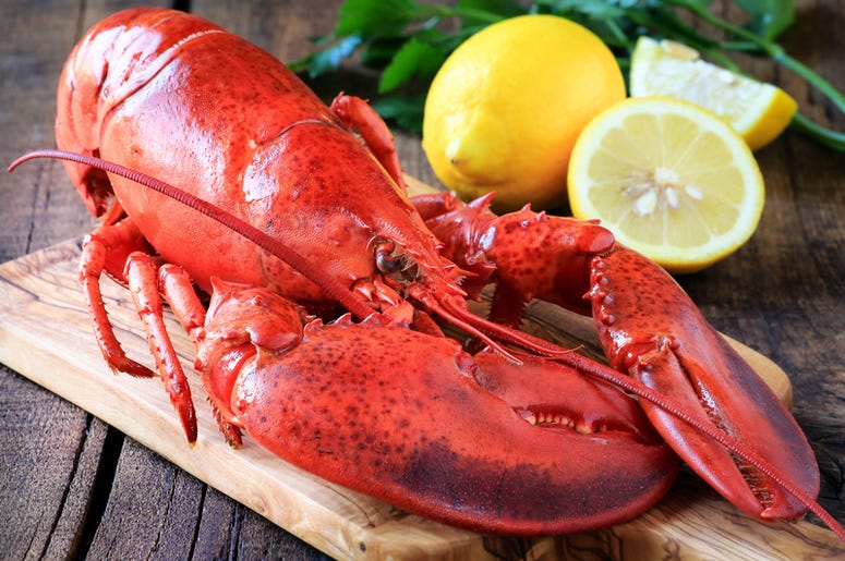 lobster lobster