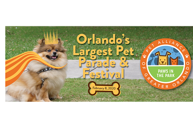 Paws in the Park