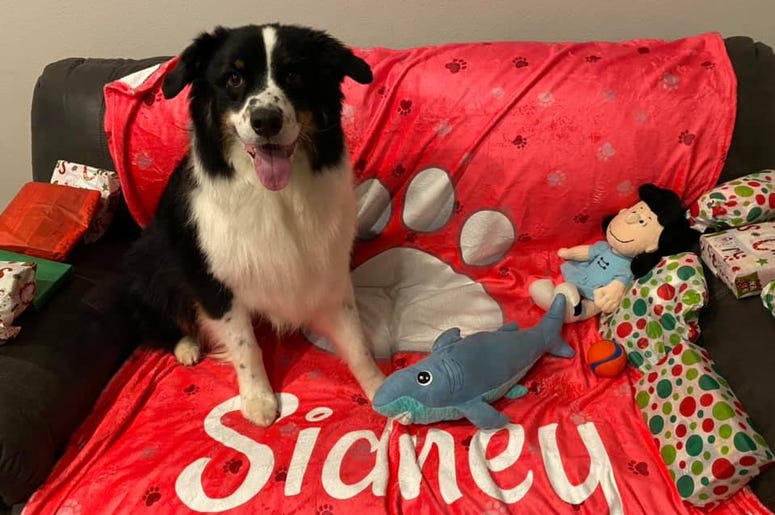 Sidney Sidney