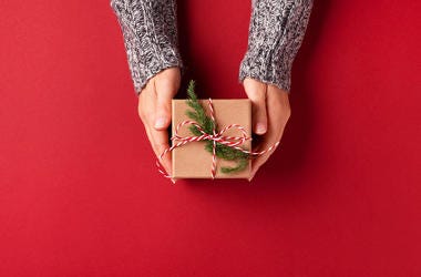 Martha Stewarts Holiday Guide Is Out