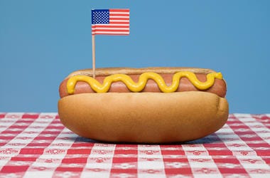 hot dog hot dog