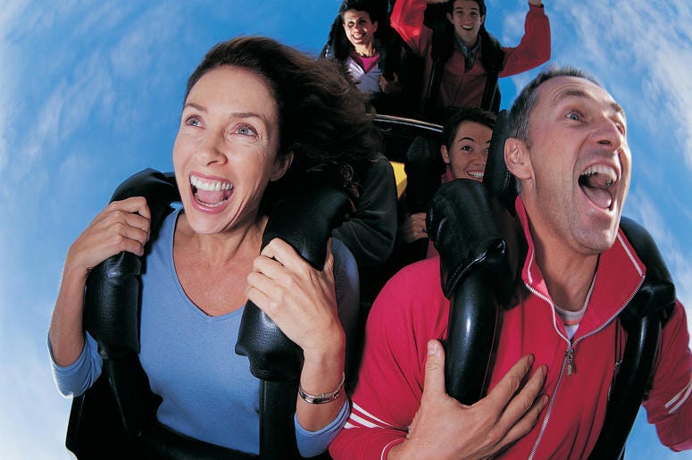 roller coaster roller coaster