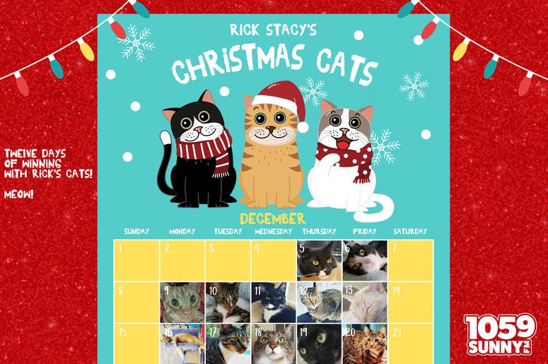 Christmas Cats