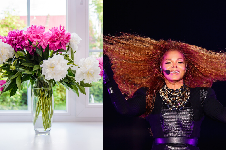 janet jackson flowers