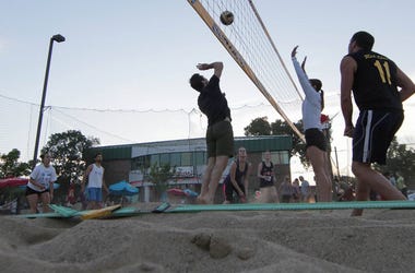 coliseum bar madison volleyball