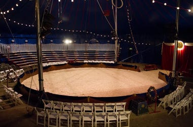 LISTEN: Zor Shrine Circus Trainer's Efforts to Save Tigers; Talks with Jim & Teri about Conservation, Education LISTEN: Zor Shrine Circus Trainer's Efforts to Save Tigers; Talks with Jim & Teri about Conservation, Education