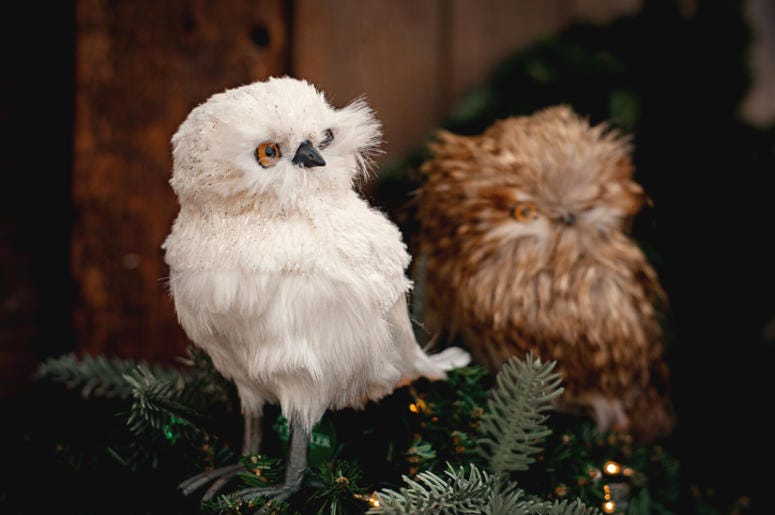 Owl on Christmas Tree