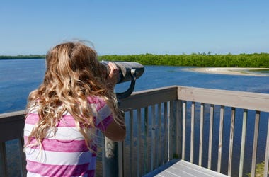Florida Parks