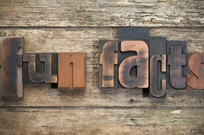 Adam's Fun Facts Dreamstime
