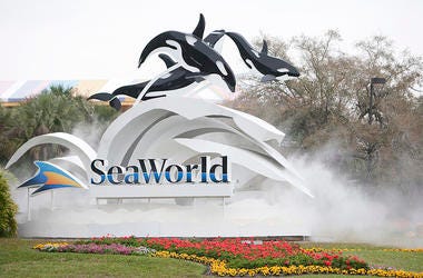 SeaWorld