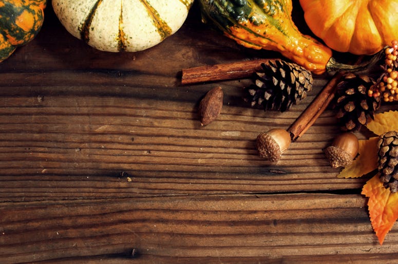 Fall Theme Fall Theme