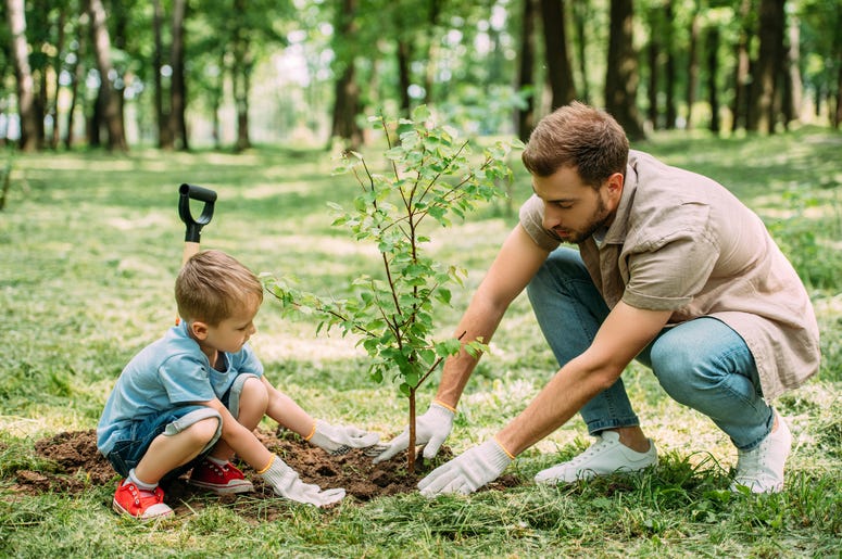 Planting a Tree Planting a Tree