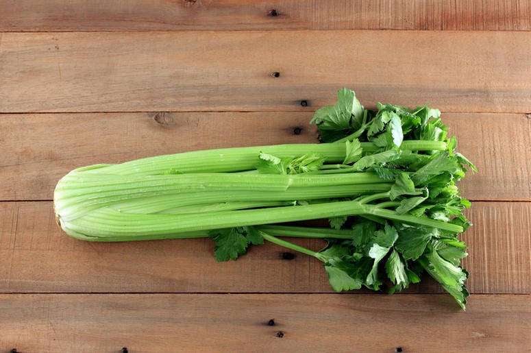 Celery Celery
