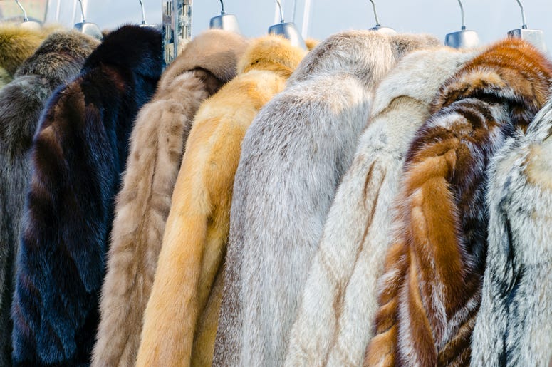 Peta donated several coats to DC homeless shelter. Peta donated several coats to DC homeless shelter.