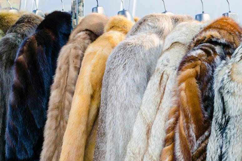 Peta donated several coats to DC homeless shelter. Peta donated several coats to DC homeless shelter.