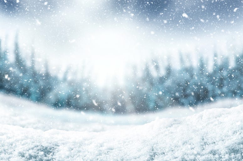 Snow background and tree. Winter backdrop with sunlight in morning time. - stock photo