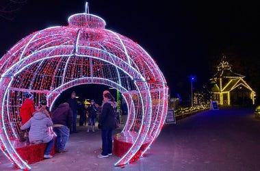 Wild Winter Lights