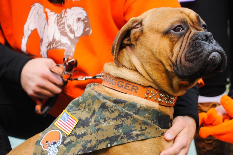 Swagger browns mascot