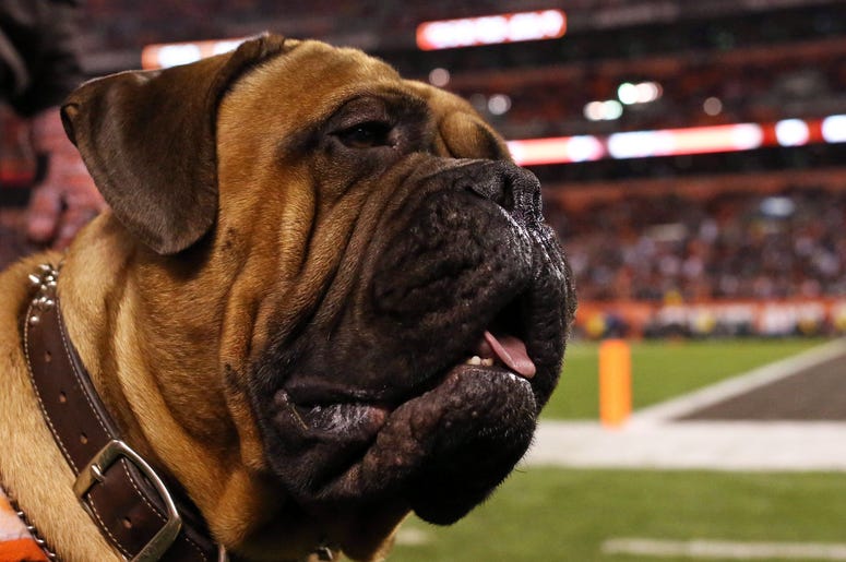 Swagger browns mascot
