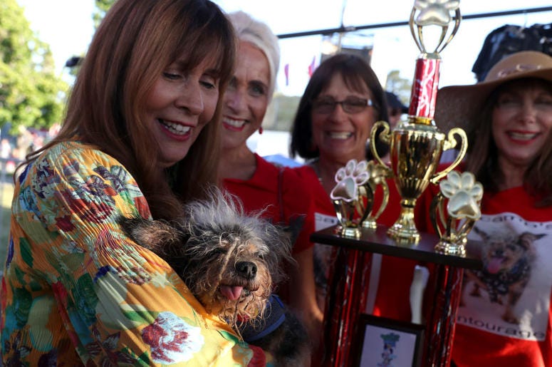 PETALUMA, CALIFORNIA - JUNE 21: Yvonne Morones (L) holds her dog Scamp the Tramp after winning the World's Ugliest Dog contest at the Marin-Sonoma County Fair on June 21, 2019 in Petaluma, California. A dog named Scamp the Tramp from Santa Rosa, Californi PETALUMA, CALIFORNIA - JUNE 21: Yvonne Morones (L) holds her dog Scamp the Tramp after winning the World's Ugliest Dog contest at the Marin-Sonoma County Fair on June 21, 2019 in Petaluma, California. A dog named Scamp the Tramp from Santa Rosa, Californi