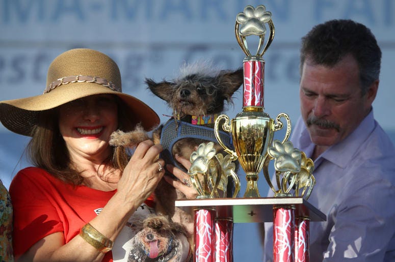 PETALUMA, CALIFORNIA - JUNE 21: Dalrene Wright (L) holds Scamp the Tramp after winning the World's Ugliest Dog contest at the Marin-Sonoma County Fair on June 21, 2019 in Petaluma, California. A dog named Scamp the Tramp from Santa Rosa, California won th PETALUMA, CALIFORNIA - JUNE 21: Dalrene Wright (L) holds Scamp the Tramp after winning the World's Ugliest Dog contest at the Marin-Sonoma County Fair on June 21, 2019 in Petaluma, California. A dog named Scamp the Tramp from Santa Rosa, California won th