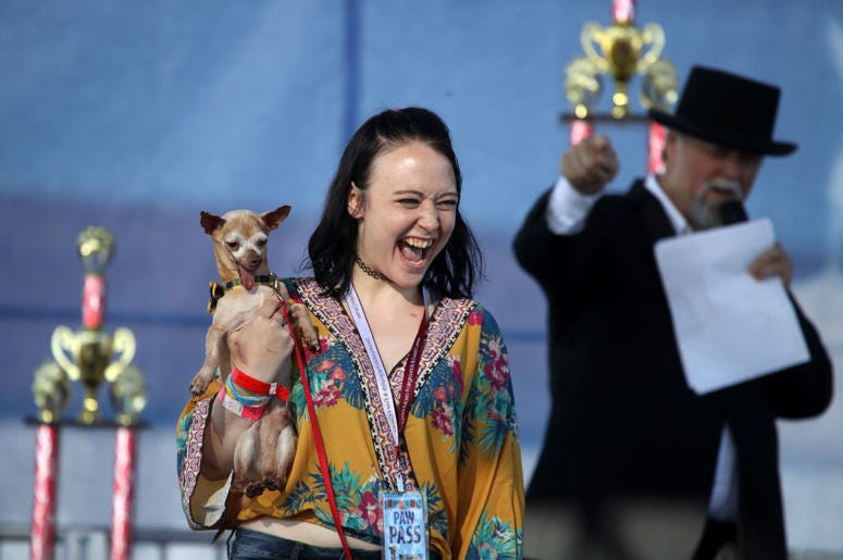 PETALUMA, CALIFORNIA - JUNE 21: Molly Horgan holds her dog Tostito during the start of the World's Ugliest Dog contest at the Marin-Sonoma County Fair on June 21, 2019 in Petaluma, California. A dog named Scamp the Tramp from Santa Rosa, California won th PETALUMA, CALIFORNIA - JUNE 21: Molly Horgan holds her dog Tostito during the start of the World's Ugliest Dog contest at the Marin-Sonoma County Fair on June 21, 2019 in Petaluma, California. A dog named Scamp the Tramp from Santa Rosa, California won th