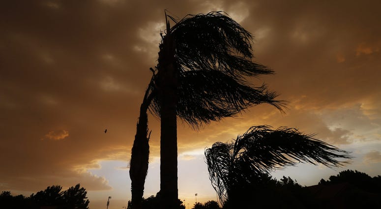 Saharan Dust Storm