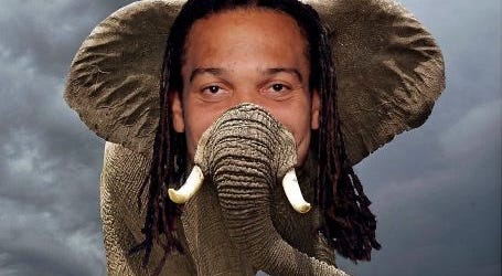Elephant or Crowder