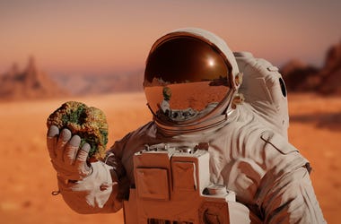Astronaut Holding Rock Astronaut Holding Rock On Mars