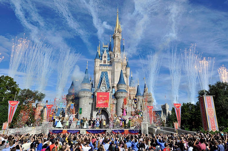 Disney World Disney World Castle Fireworks