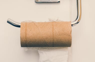 Empty Toilet Paper Roll