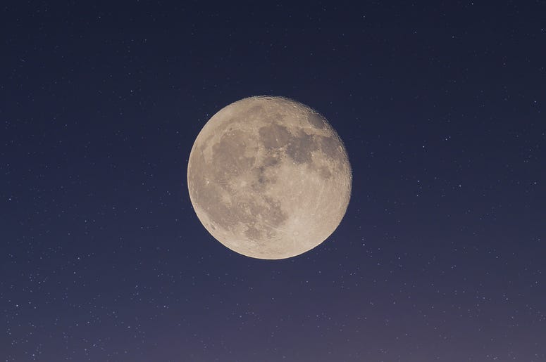 People Looking At Moon