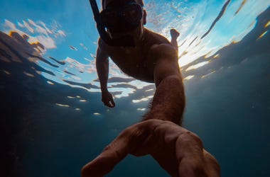 Diver