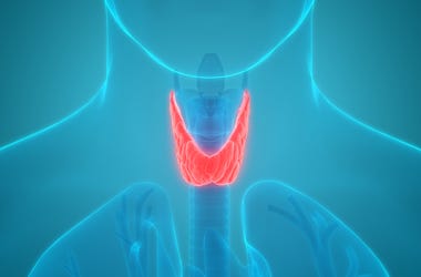 Throat XRAY