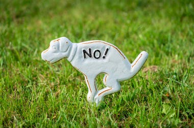 No Dog Poo
