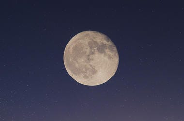 People Looking At Moon