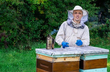 Man and Bees
