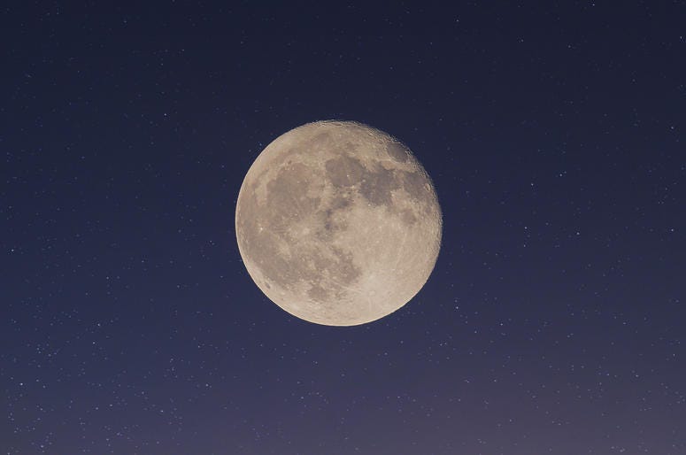 People Looking At Moon