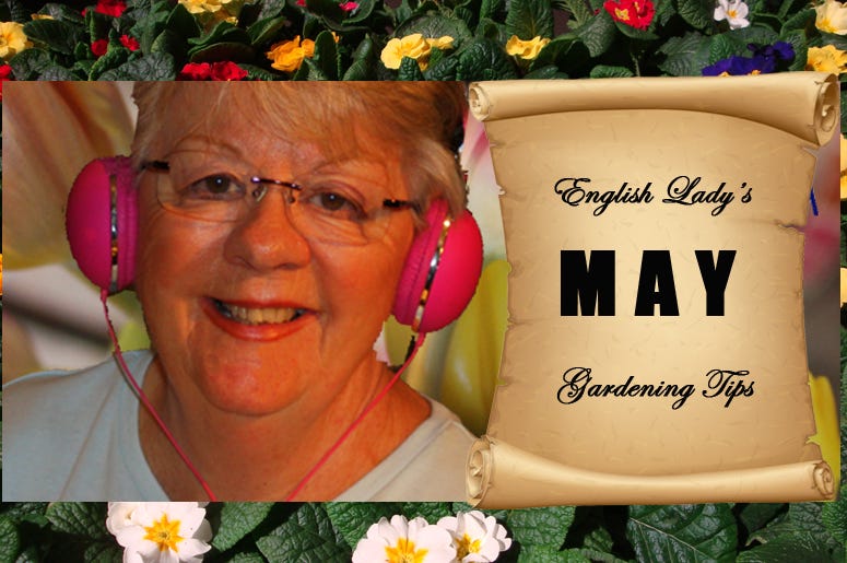 English Lady May Gardening Tips English Lady May Gardening Tips