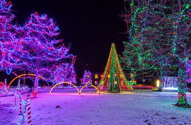 holiday lights