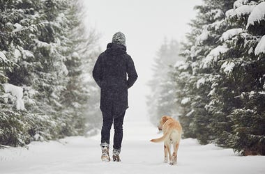 winter hike