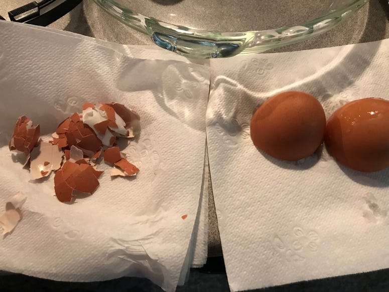 Egg Shells
