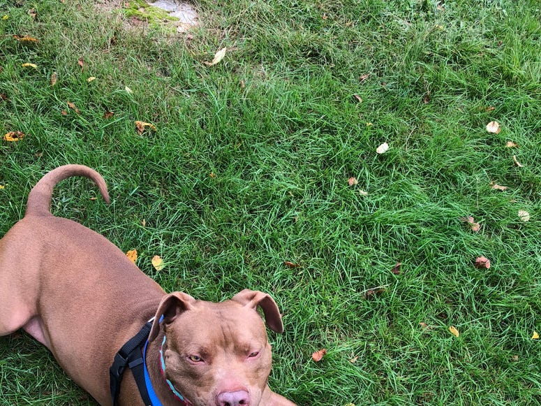Tucker