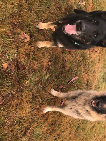 Zoe & Lacey
