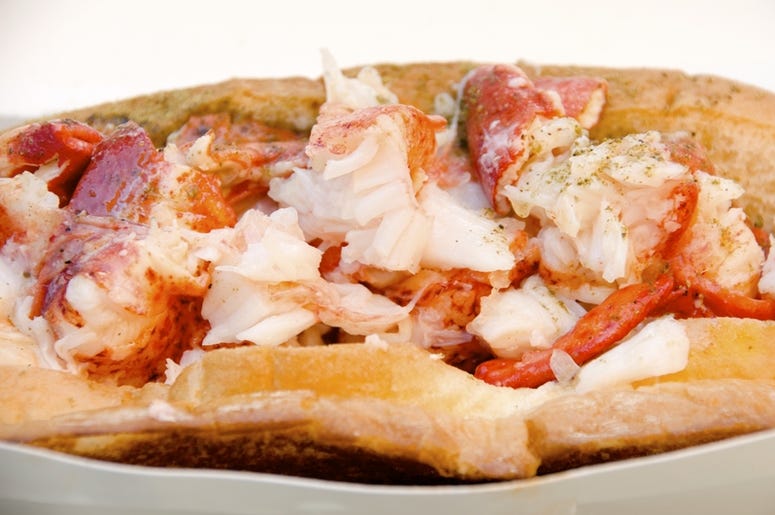 REAL lobster roll CT lobster roll