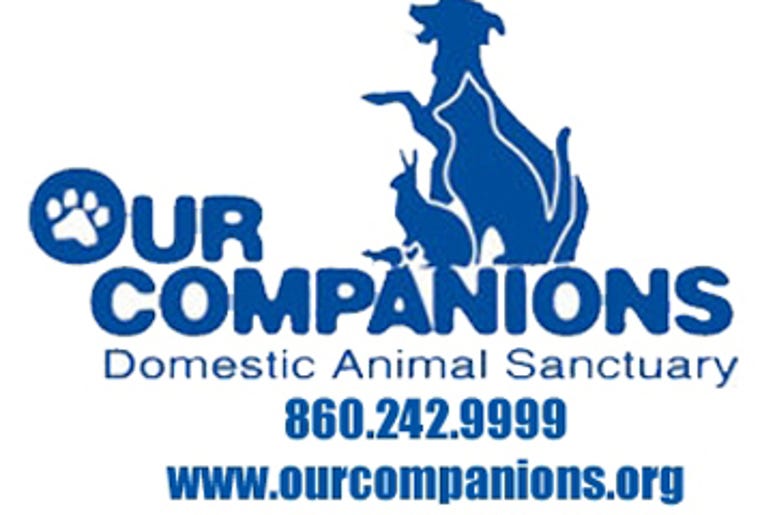 Our Companions