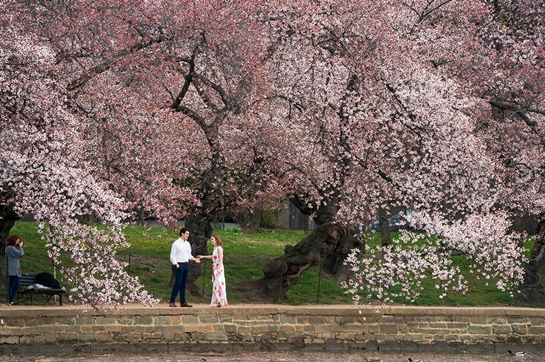 How_to_find_inexpensive_Wedding_photos Wedding_Photos_Engagement_Photographer
